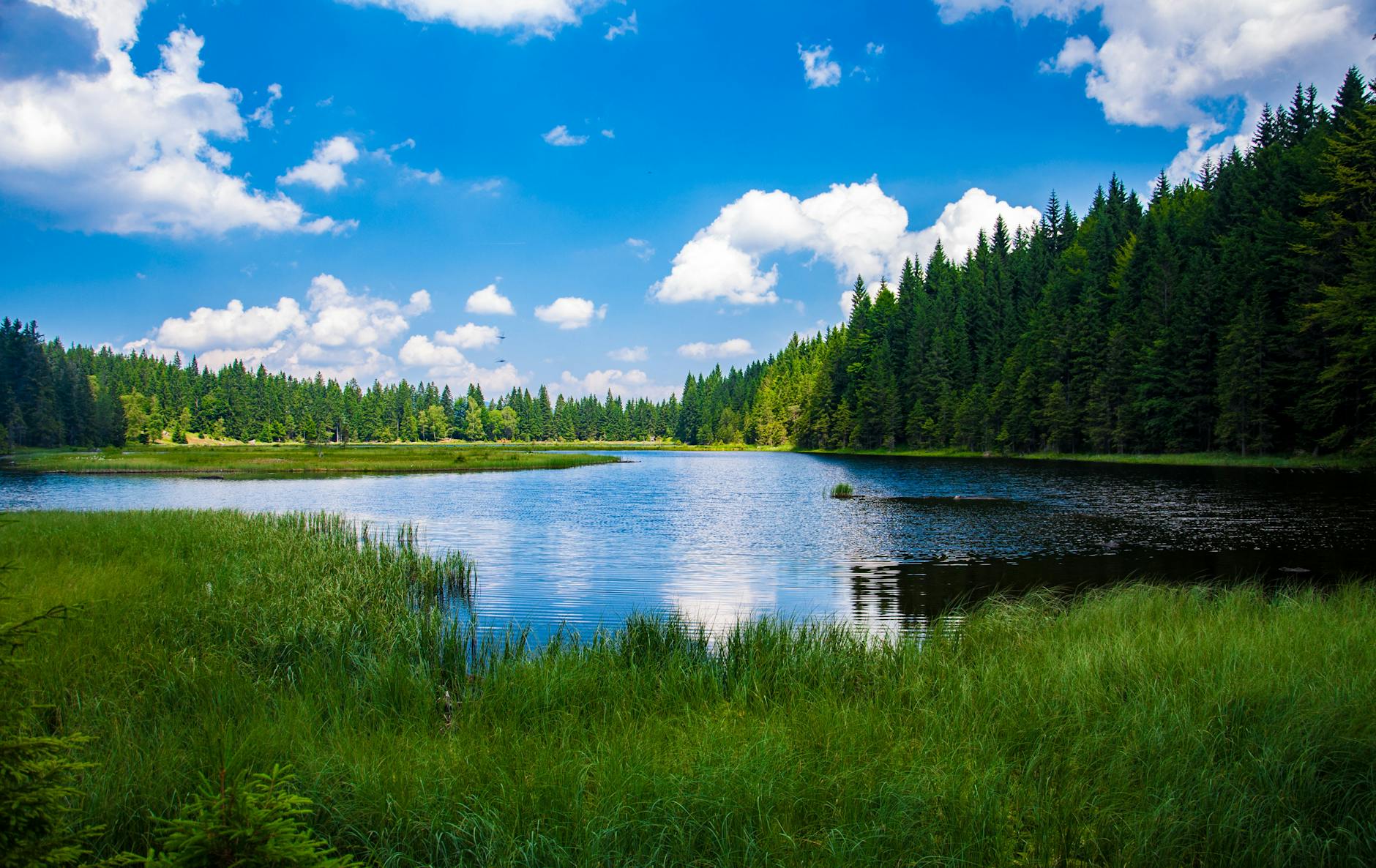 Discover Alberta Pond: Your Fishing Paradise in Michigan