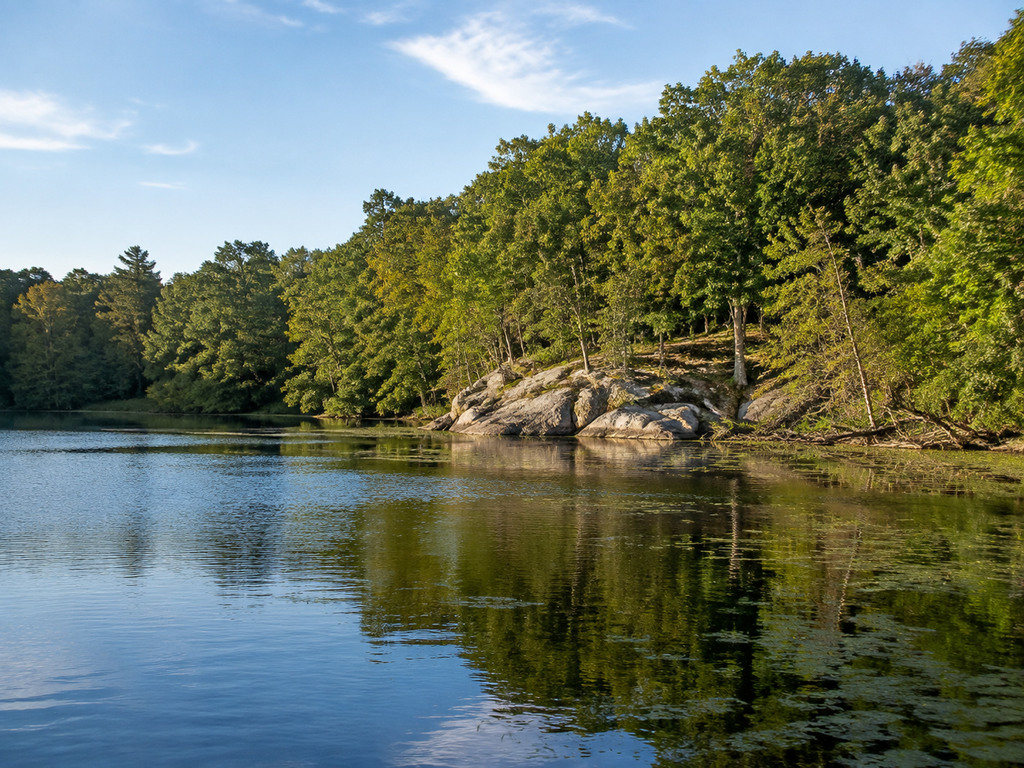 Ashville Pond Boat Ramp and Trout Fishing Guide