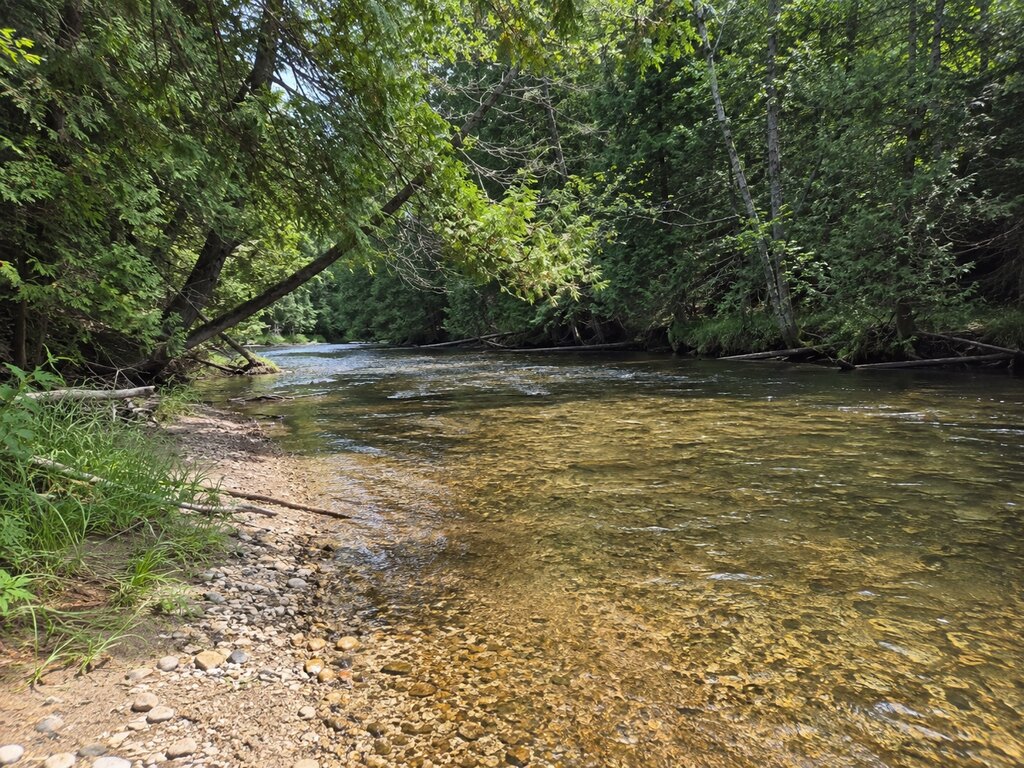 Ultimate Guide to Fishing the Carp River in St. Ignace Area