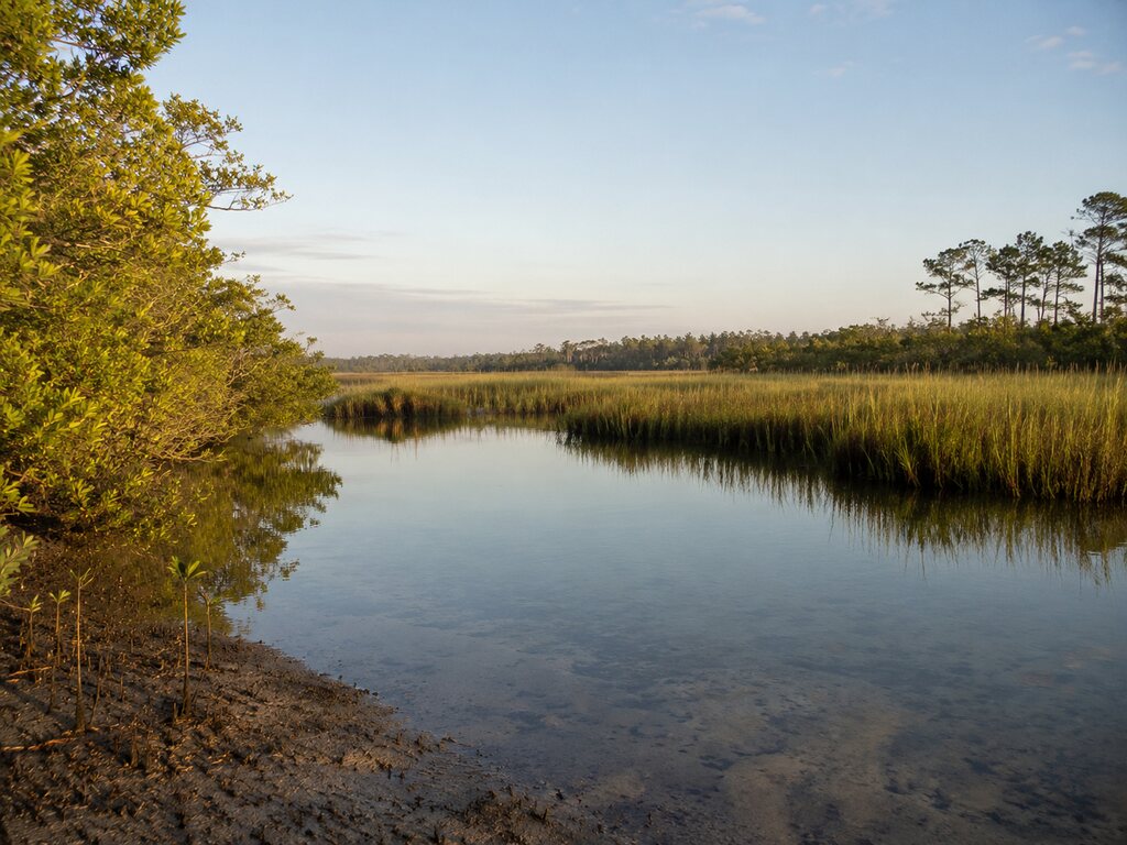 Charlotte Harbor Preserve State Park: A Coastal Wilderness Odyssey