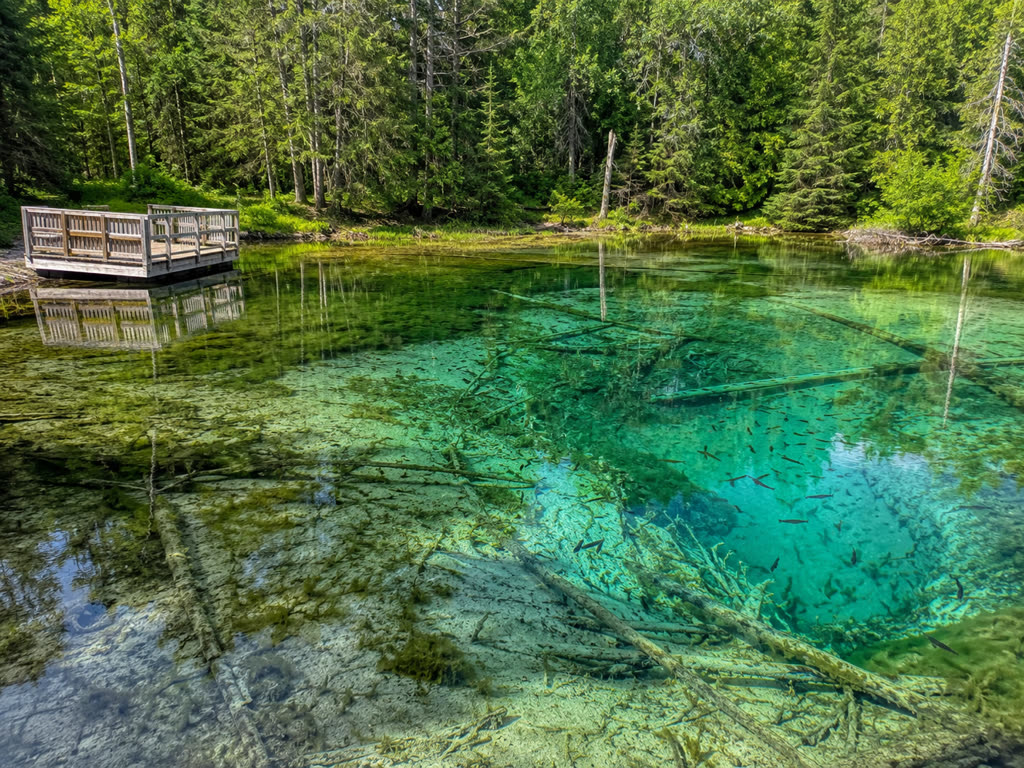 Visit Kitch-iti-kipi: Michigan’s Crystal-Clear Big Spring