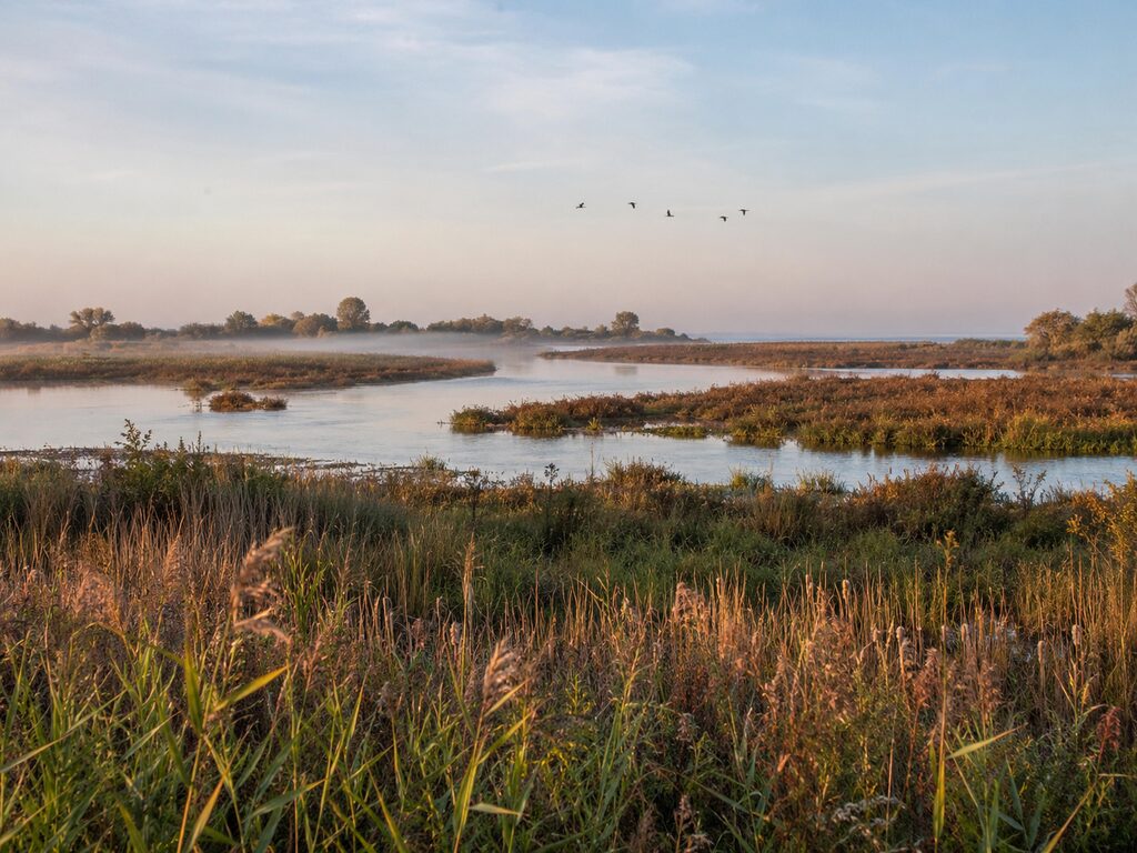 Explore Pointe Mouillee: Michigan’s Lake Erie Wetland Wonder