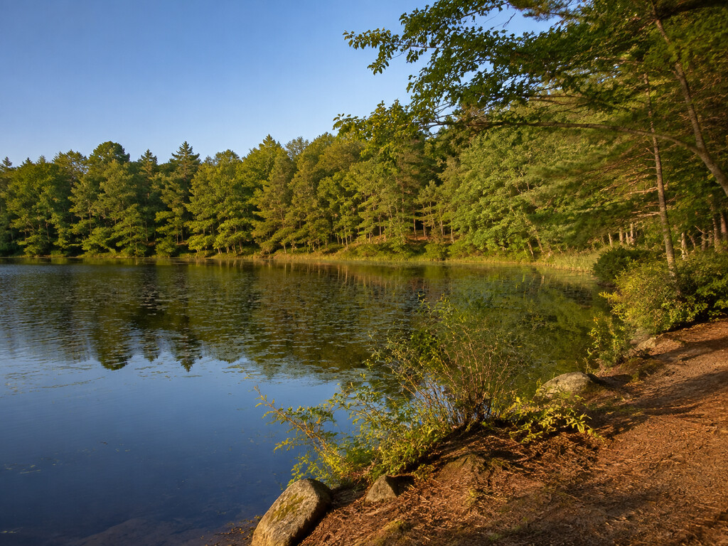Pulaski State Park: Peck Pond and Trail Guide