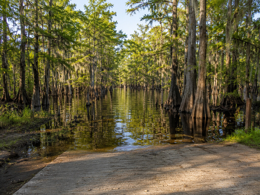 Sparkleberry Landing: Lake Marion Boat Ramp and Paddling Guide