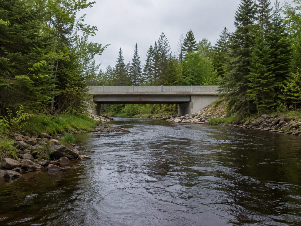 Your Guide to Fishing at Teaspoon Creek Bridge, Newberry