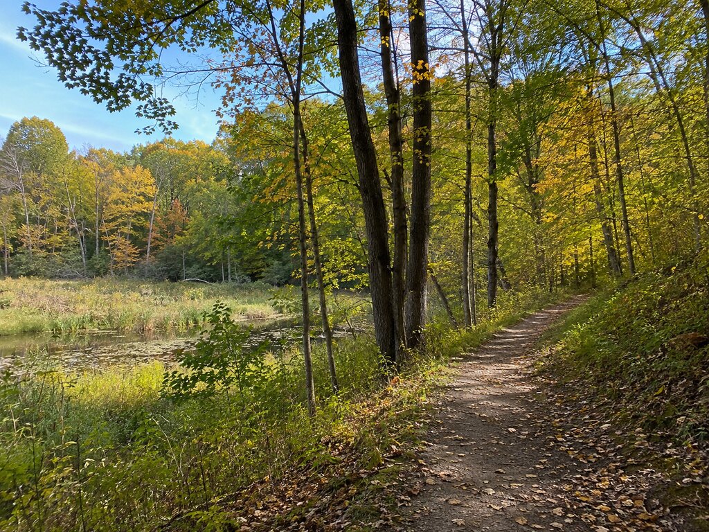 Visit the Interpretive Center at Waterloo: Nature & History Combined