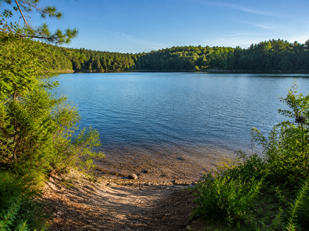 Wilson Reservoir Boat Ramp and Fishing Guide