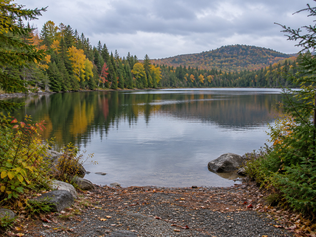 East Pine Pond Hand Launch: Accessibility, Parking and Brook Trout Guide