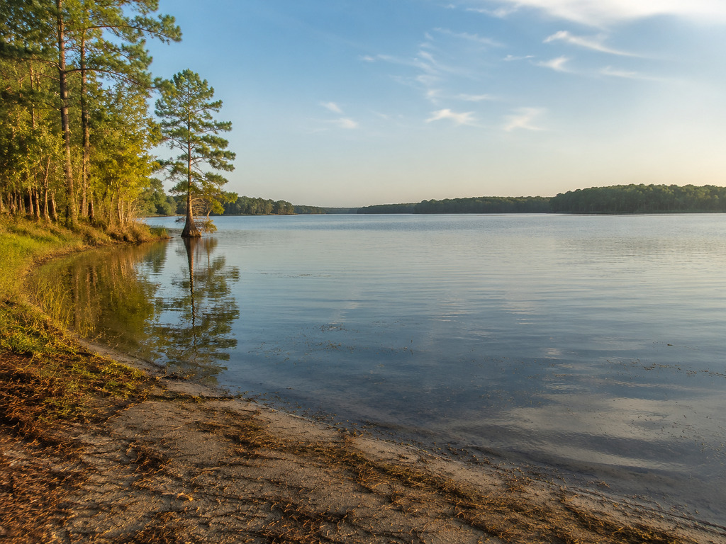 Spiers Landing: Lake Marion Boat Ramp and Fishing Guide