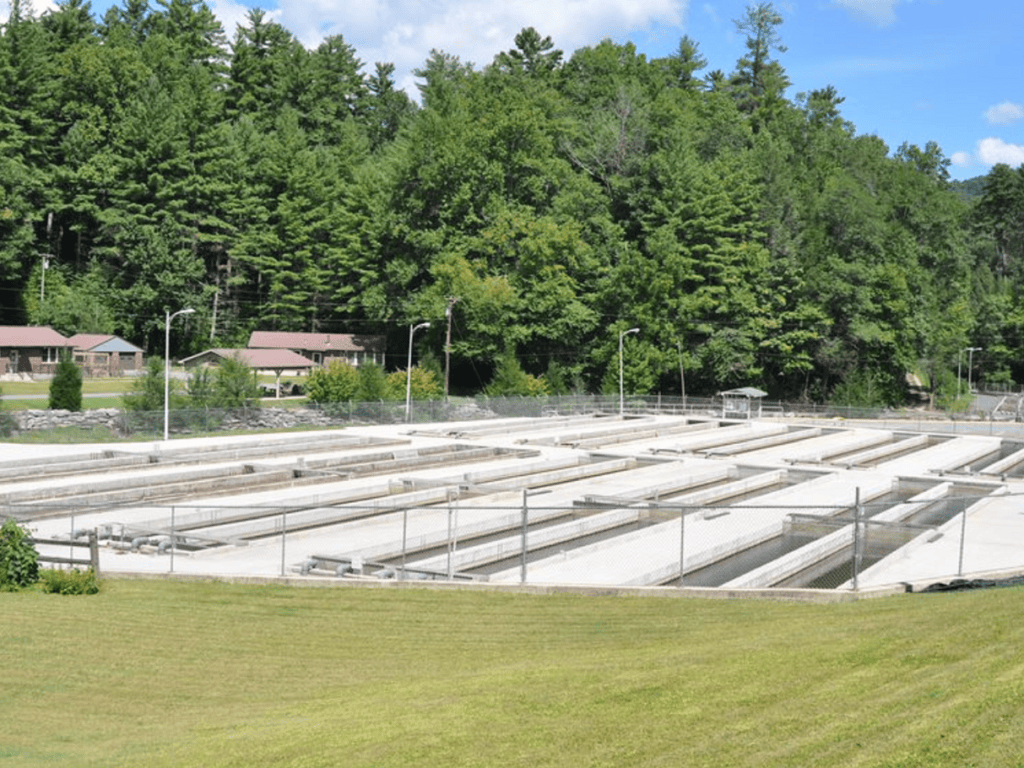 Chattahoochee Forest Fish Hatchery: Tour & Rock Creek Fishing Guide