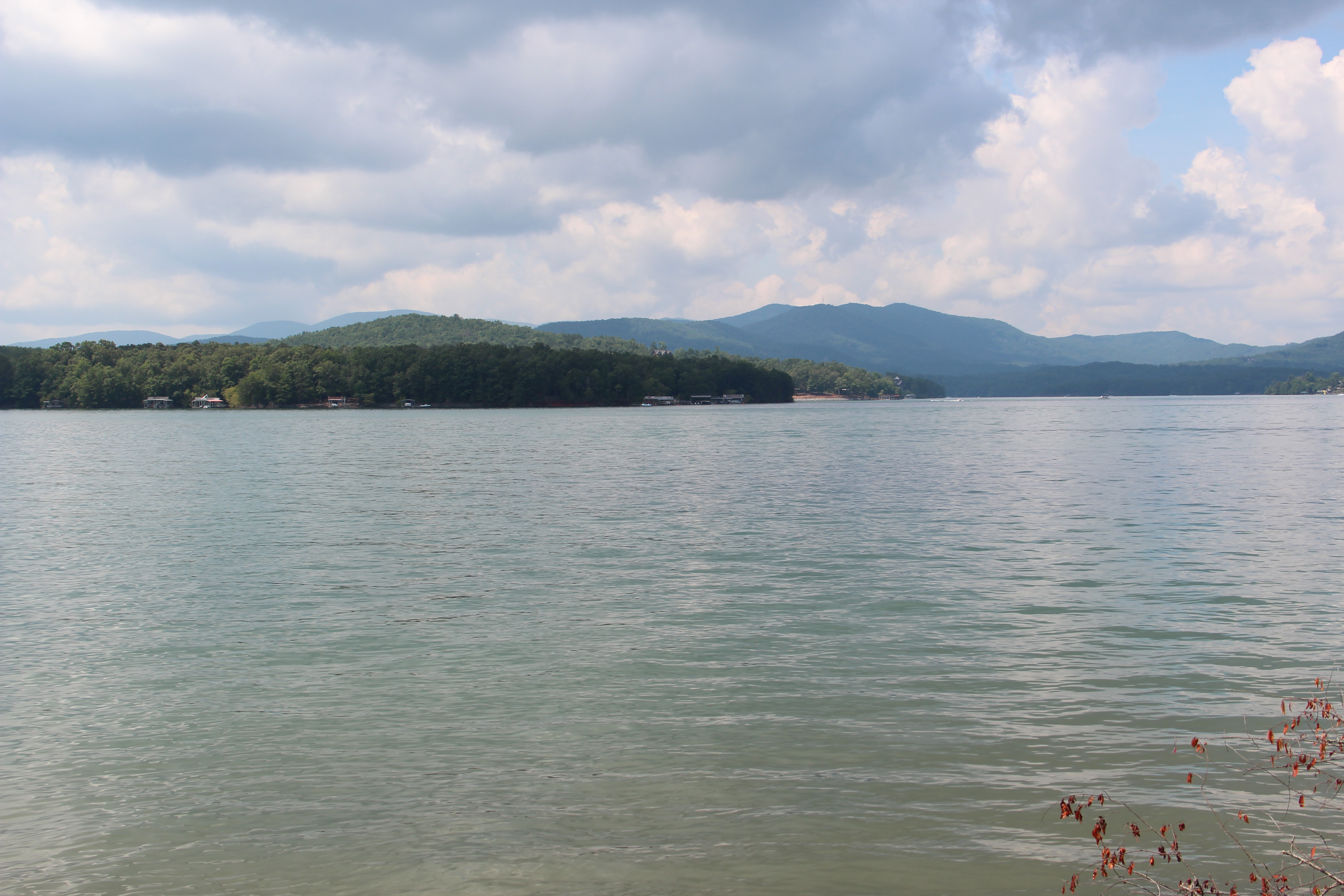 Morganton Point Campground Guide: Lake Blue Ridge Sites & Beach Access