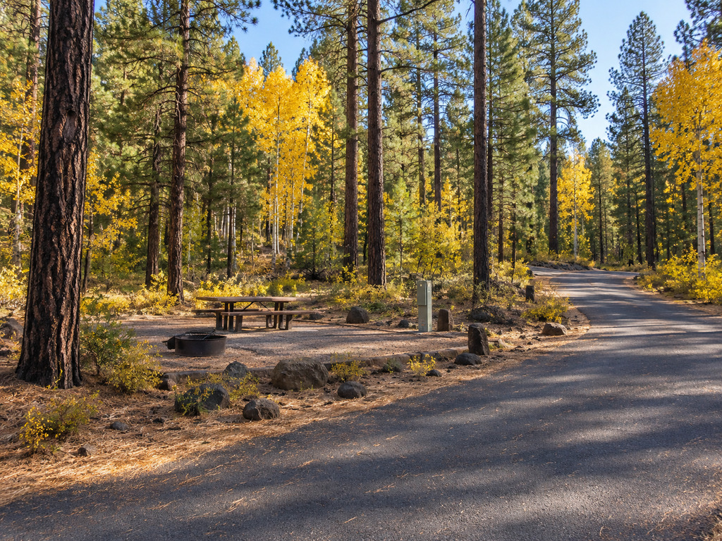 Canyon Point Campground: Electric Sites, Showers and Willow Springs Access