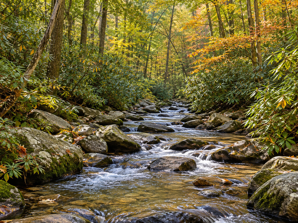 Dukes Creek Fishing at Smithgall Woods: Reservation and Rules Guide