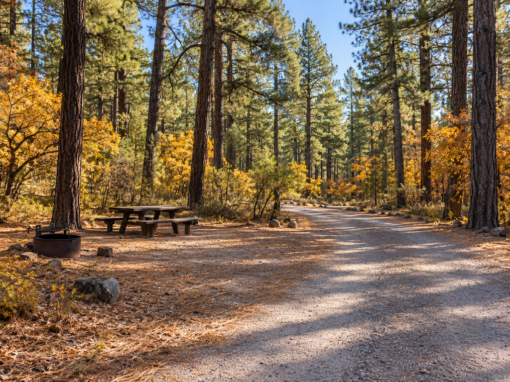 Mogollon Campground: Pine-Loop Camping Near Woods Canyon Lake