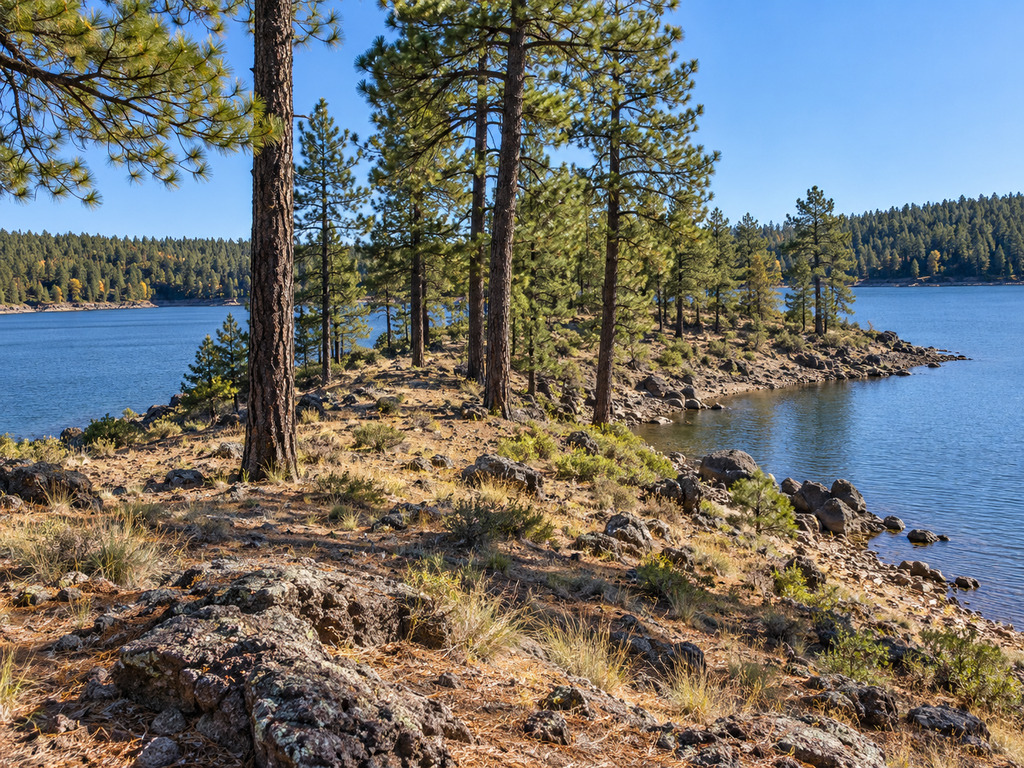 Sardine Point Day Use Area: Willow Springs Lake Shore-Fishing Guide