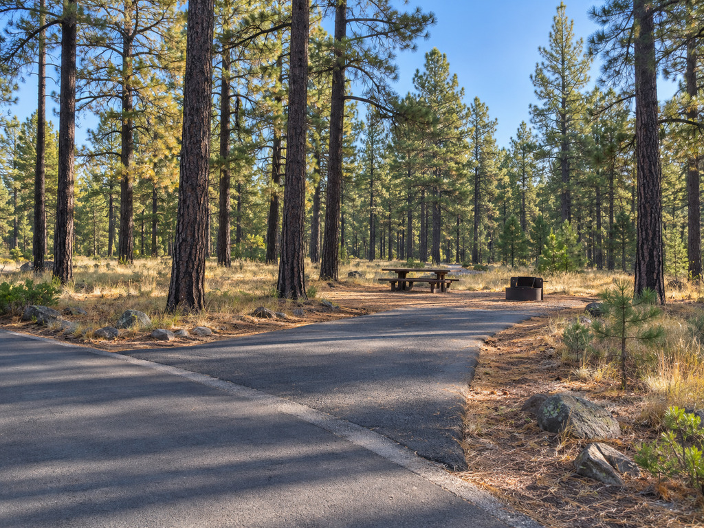 Sinkhole Campground: Sites, Reservations and Willow Springs Access